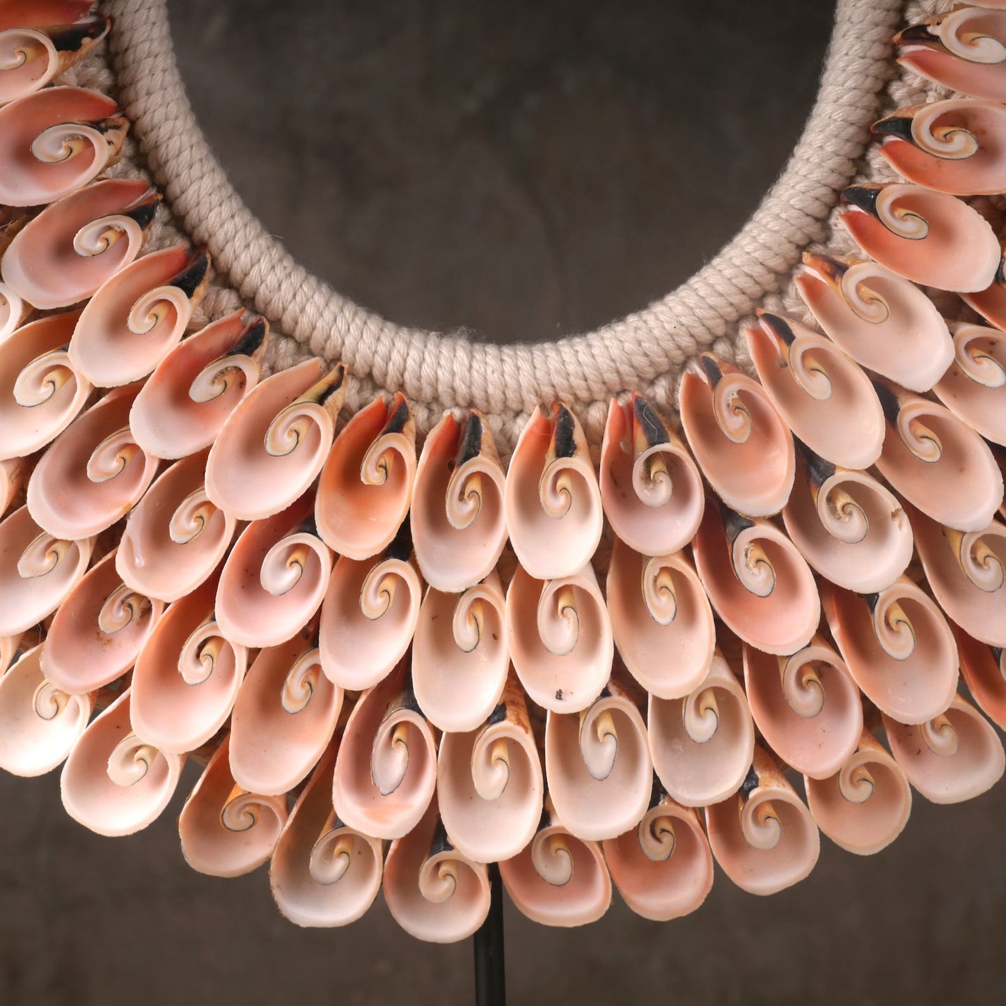 Papua pink sea shell necklace