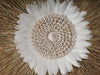 Raffia Grass Sea Shell And Feather Wall Decor