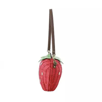 Women’s Summer Crossbody Straw Beach Purse