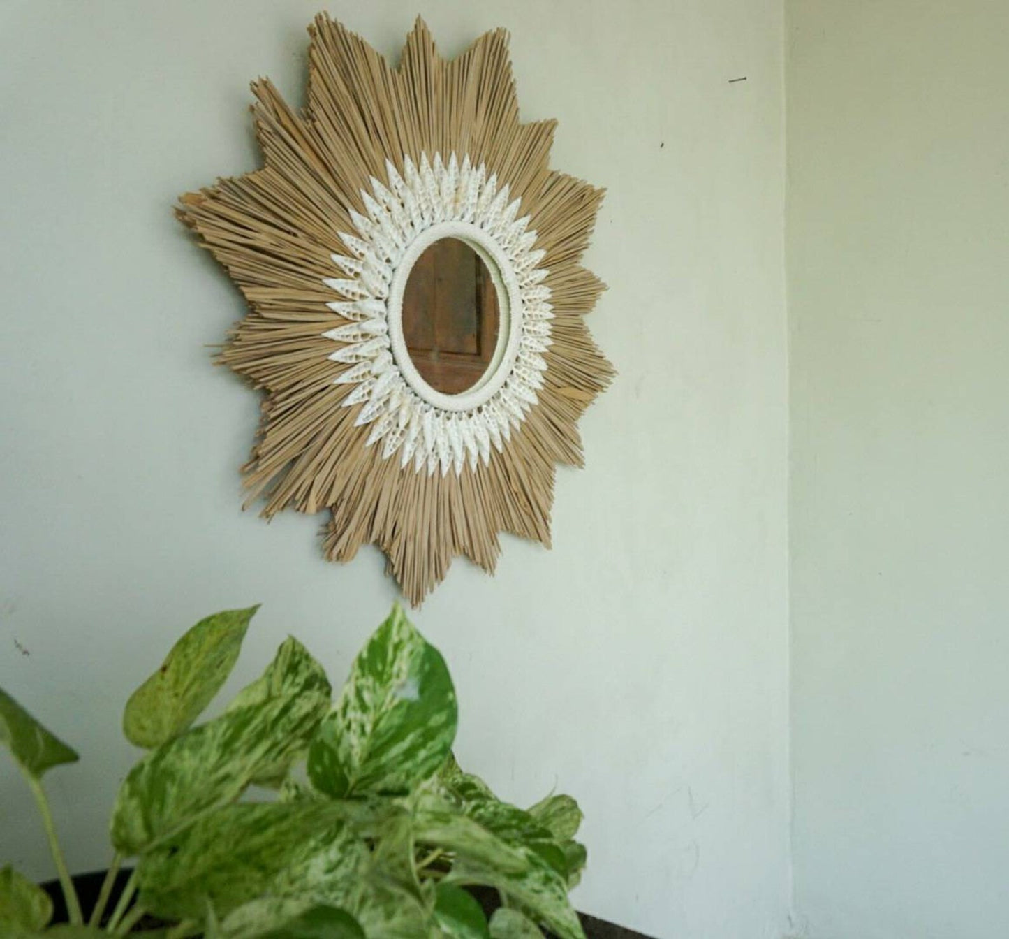 Sunburst shape raffia cowrie sea shells mirror