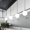 Globe Pendant Light Modern Black Ceiling Lamp