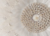 Dried Natural Raffia Sea Shells Macrame Feather Wall Hanging
