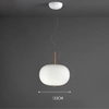 Nordic Double Globe Pendant Lamp Ceiling Light