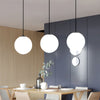 Globe Pendant Light Modern Black Ceiling Lamp
