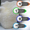 Genuine Green Fur Sheepskin Rug