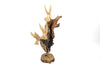 Wooden Art Decor Humming Bird Figurine