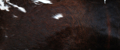 Black Brown Cowhide Lumber Pillow Cover