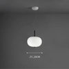 Nordic Double Globe Pendant Lamp Ceiling Light