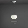 Nordic Double Globe Pendant Lamp Ceiling Light