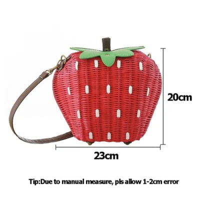 Women’s Summer Crossbody Straw Beach Purse