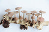 Wooden Sculpture Hanging Mushroom Wall Art