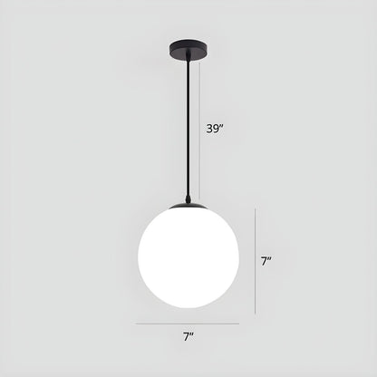 Globe Pendant Light Modern Black Ceiling Lamp