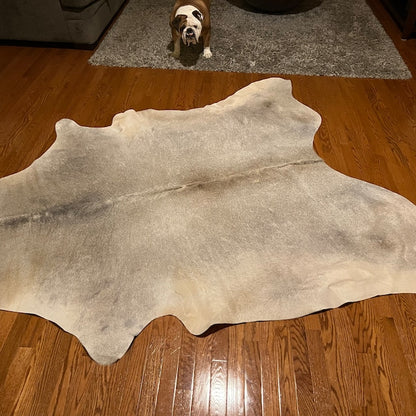 Dark Grey XXL Cowhide Rug 7.5ft x 6.4ft