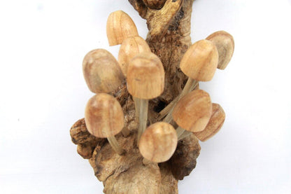 Genuine Wooden Mushroom Wall Hanging