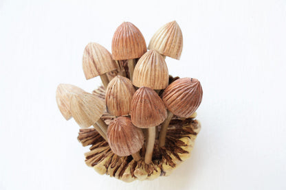 Carved Wooden Statue Mushroom Wall Deco