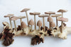 Wooden Sculpture Hanging Mushroom Wall Art