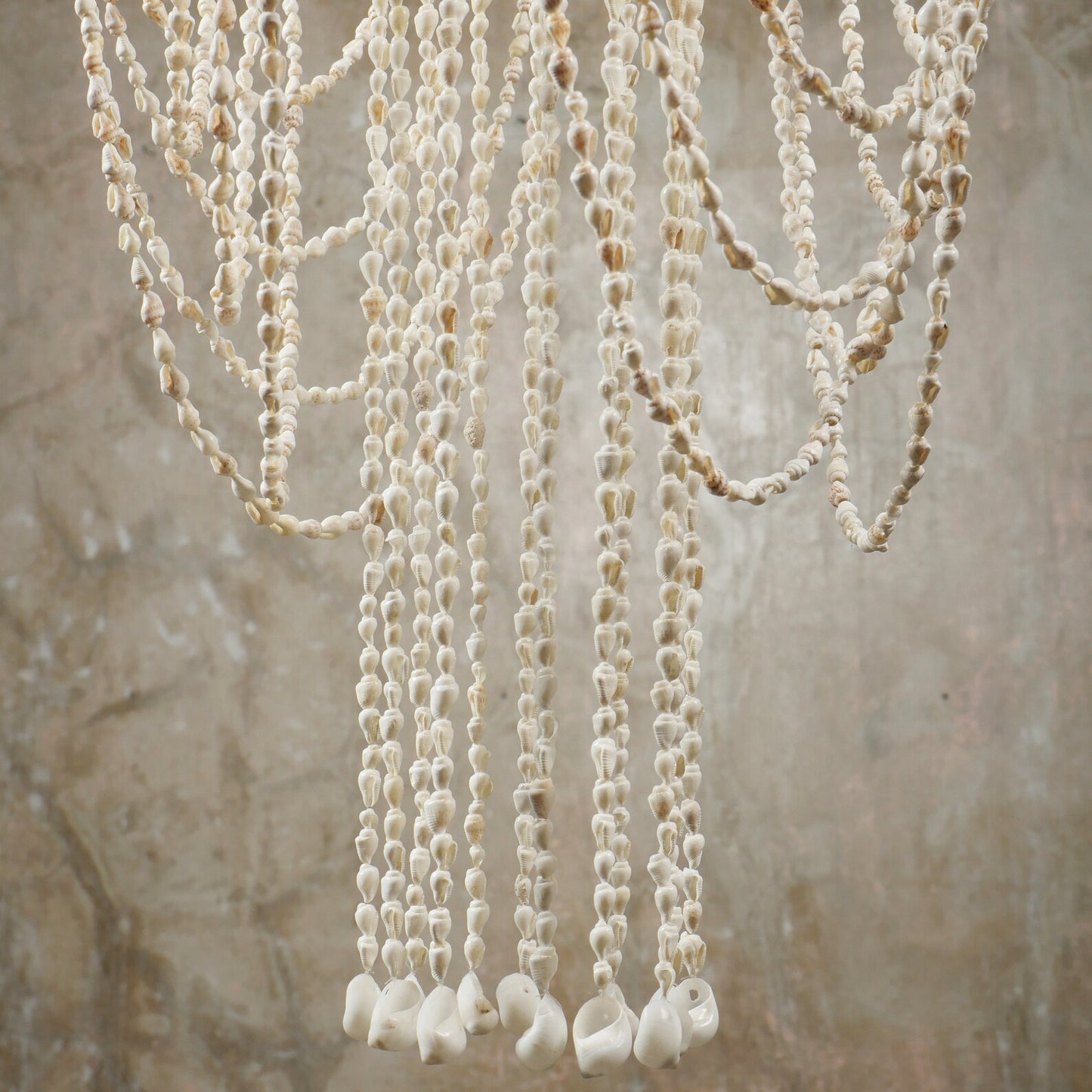 The Nassa shells pendant light chandelier