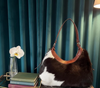 Hair on cowhide shoulder bag leather western purse