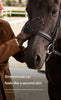 Leather horse riding gloves with goatskin grip