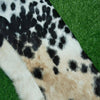 Men's Cowhide Pants in Genuine Hair-On Hide for Western Style