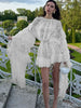 Sheer lace ruffle long sleeve mini dress