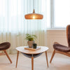 Scandinavian Wood Pendant Light Ceiling Lamp & Modern Farmhouse Chandelier