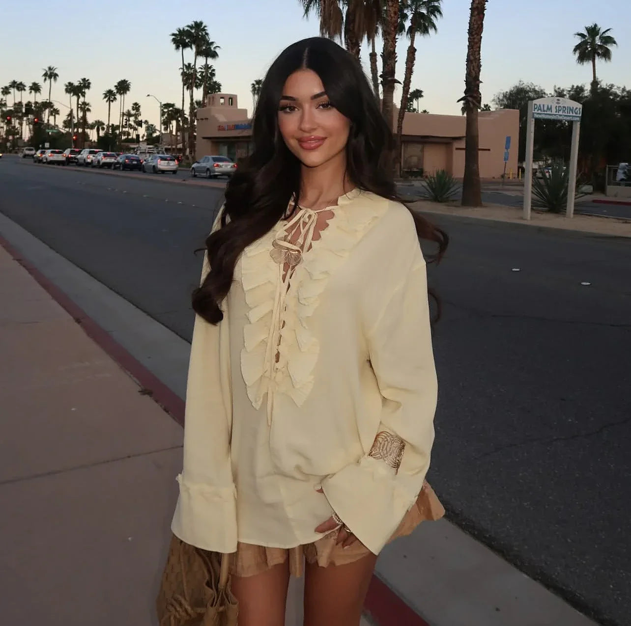 Ruffled lace collar chiffon blouse top