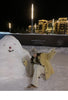 Women’s Full Wool Fur Coat Corn Yellow Shearling Winter Jacket