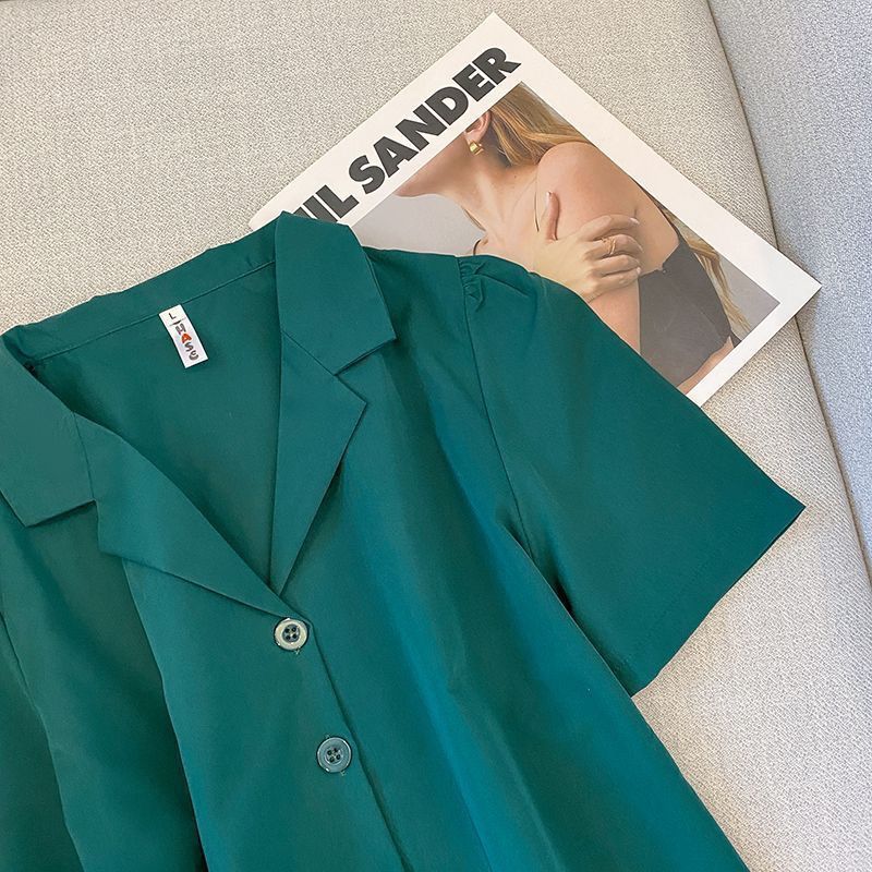 Lapel Neck Button Up Blouse