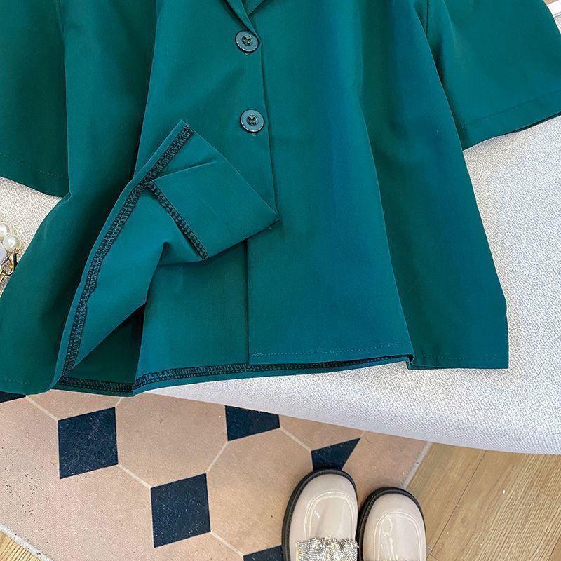 Lapel Neck Button Up Blouse