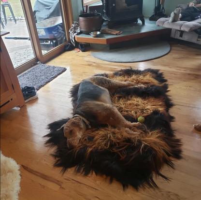 Large Sheepskin Rug Dark Brown Black