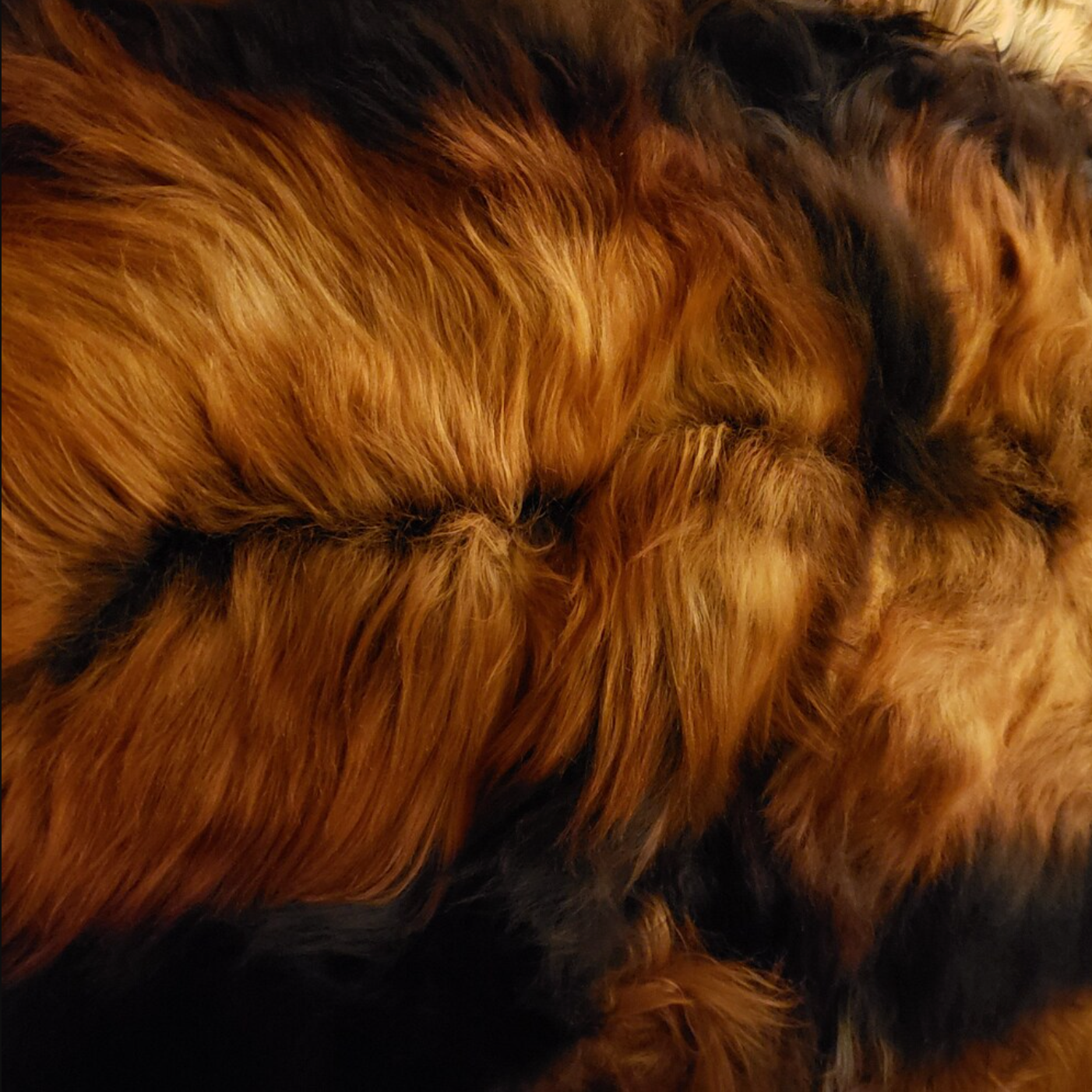 large black brown sheepskin rug