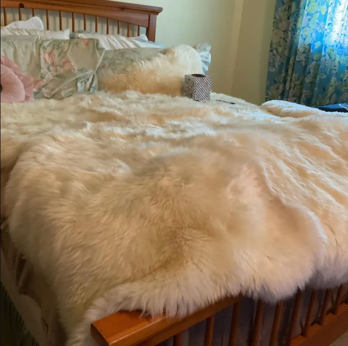 Extra Large Sheepskin Rugs