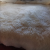 Extra Large Sheepskin Rugs