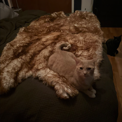 Large Natural Sheepskin Rug Brown White