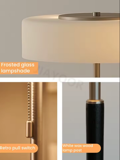 Modern Black Frosted Glass Floor Lamp with Pull Chain