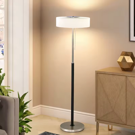 Modern Black Frosted Glass Floor Lamp with Pull Chain