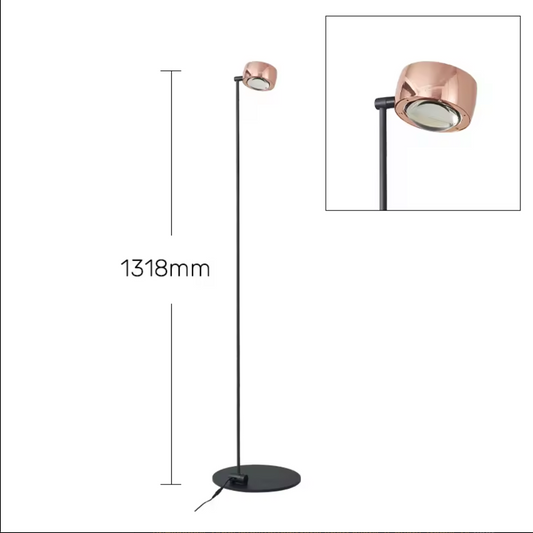 Modern Minimalist Floor Lamp with Adjustable Head Reading Light