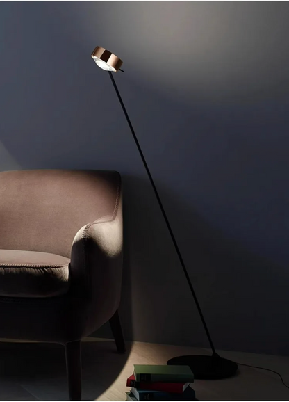 Modern Minimalist Floor Lamp with Adjustable Head Reading Light
