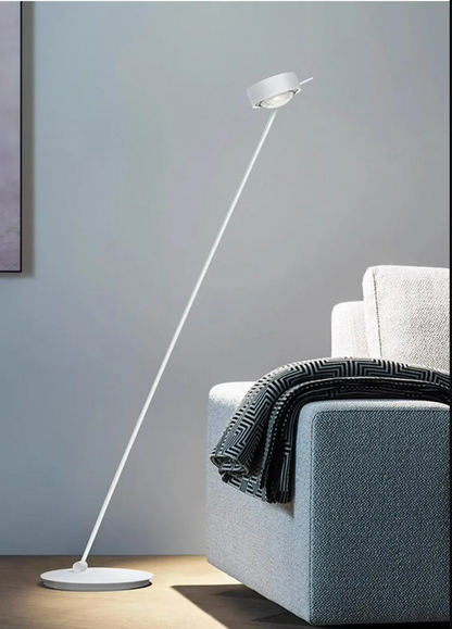 Modern Minimalist Floor Lamp with Adjustable Head Reading Light