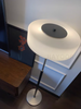 Modern Black Frosted Glass Floor Lamp with Pull Chain