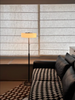 Modern Black Frosted Glass Floor Lamp with Pull Chain