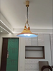 Retro Horn Pendant Light Adjustable Plexiglass Ceiling Chandelier