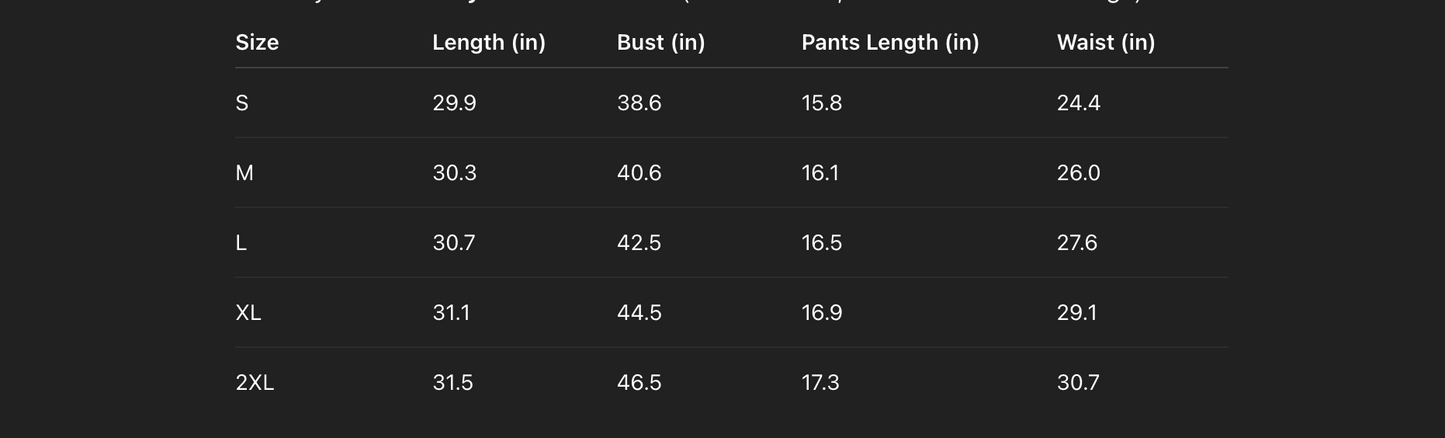 Women’s Printed Vacation Set with Shorts Beachwear Outfit