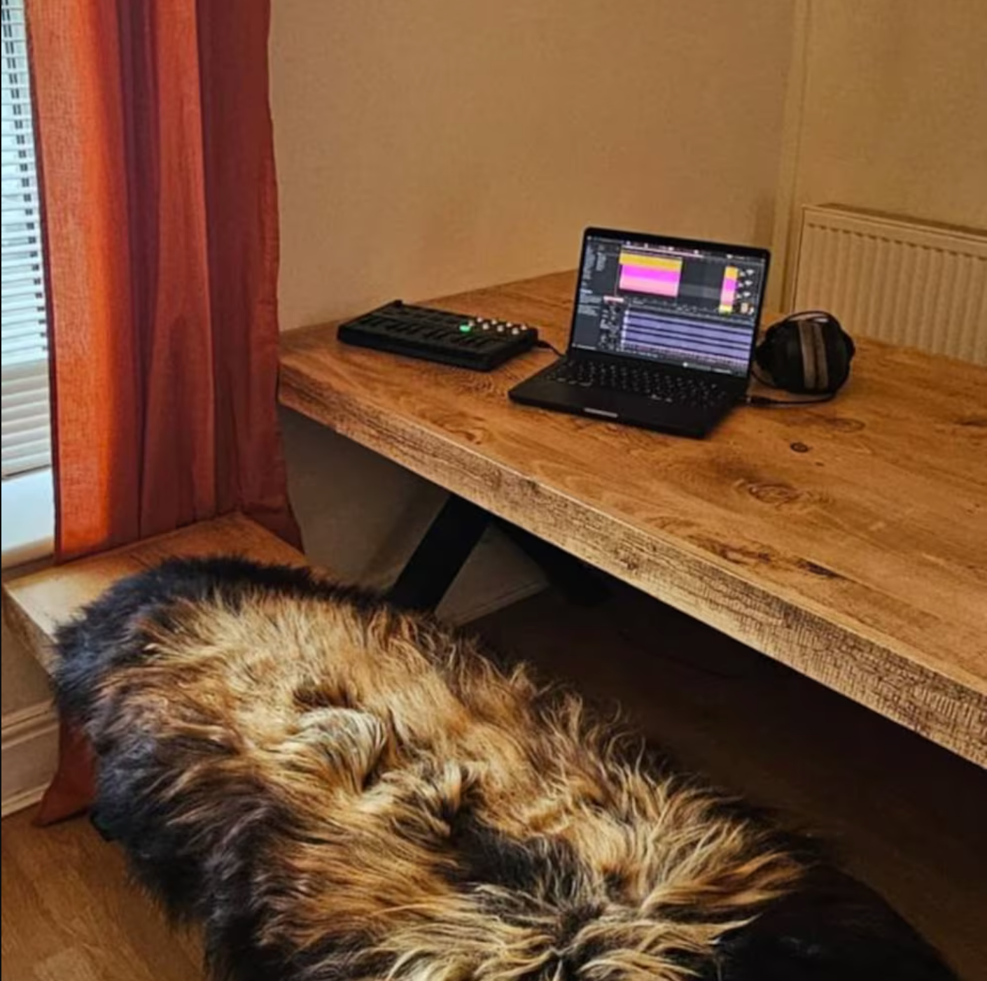 Large Sheepskin Rug Dark Brown Black