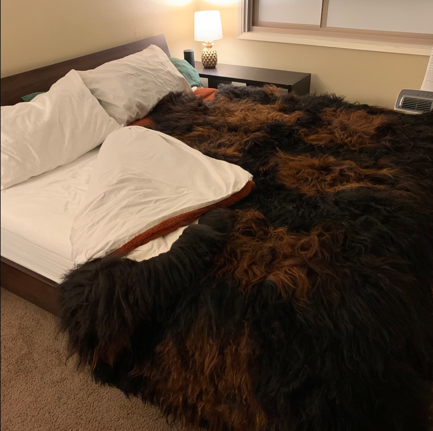 Large Sheepskin Rug Dark Brown Black