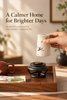 Ceramic Incense Burner with Crane Cutout Lid for Coil Incense