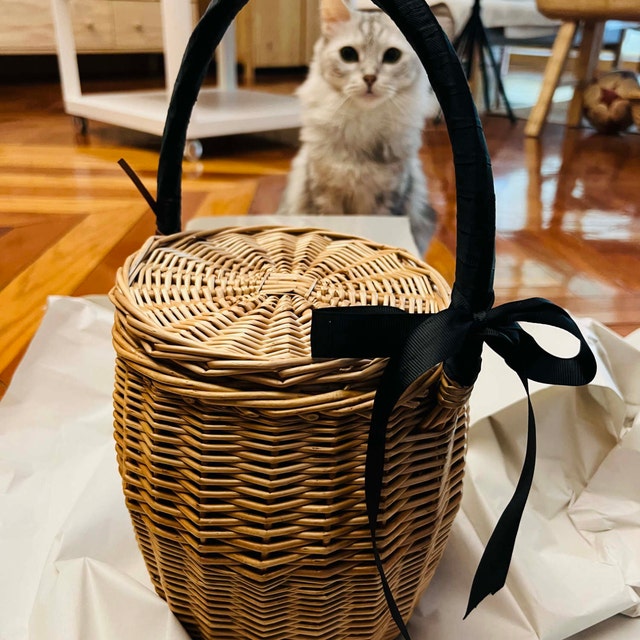 Honeypot Rattan Handbag With Lid