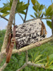 Speckled Cowhide Sling Crossbody Bag