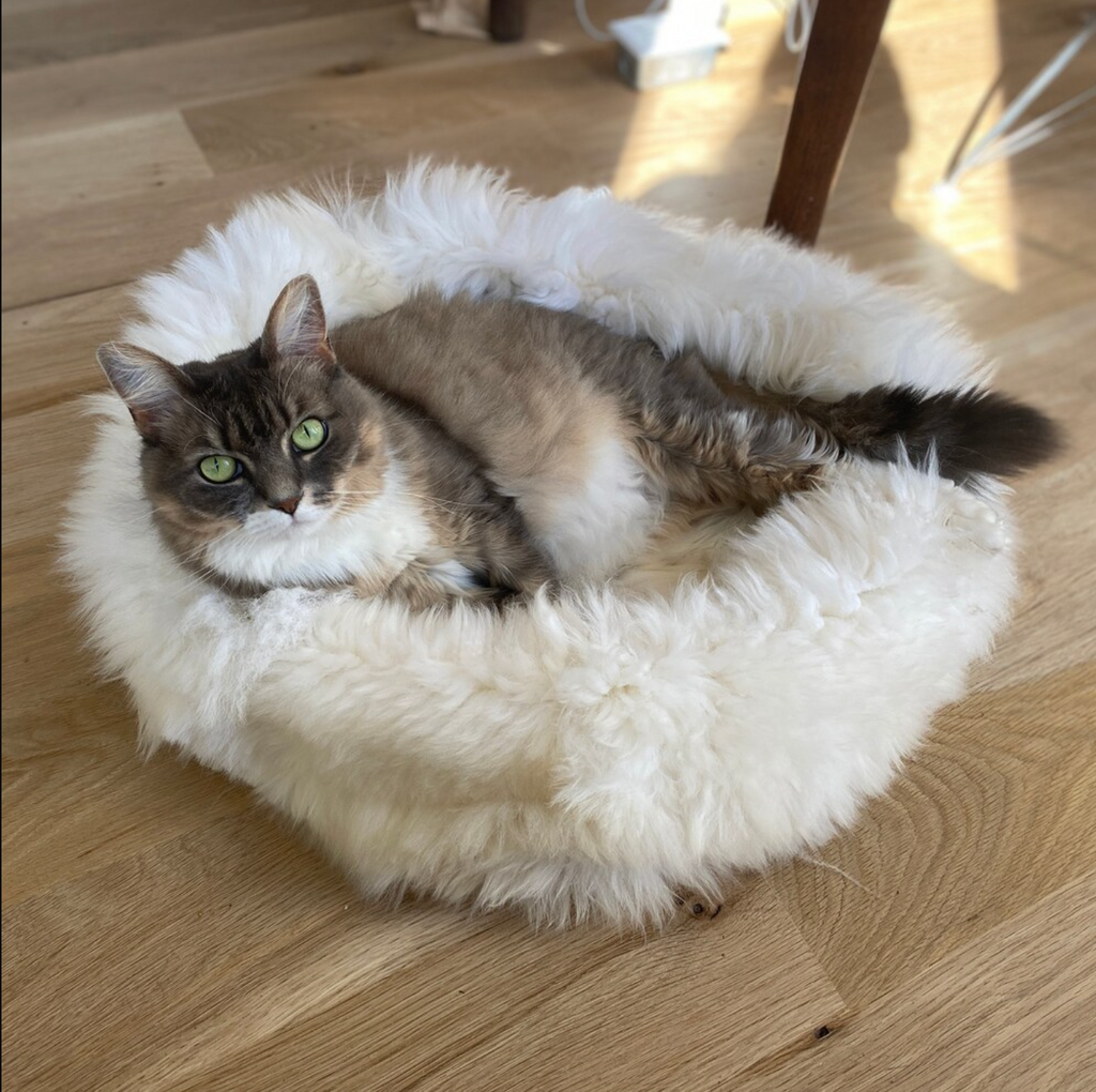 natural sheepskin cat pet bed